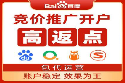 某电商平台的SEM运营实战与效果分析